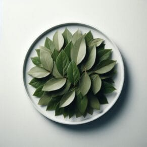 Tez Patta | Bay Leaf | تیز پتہ
