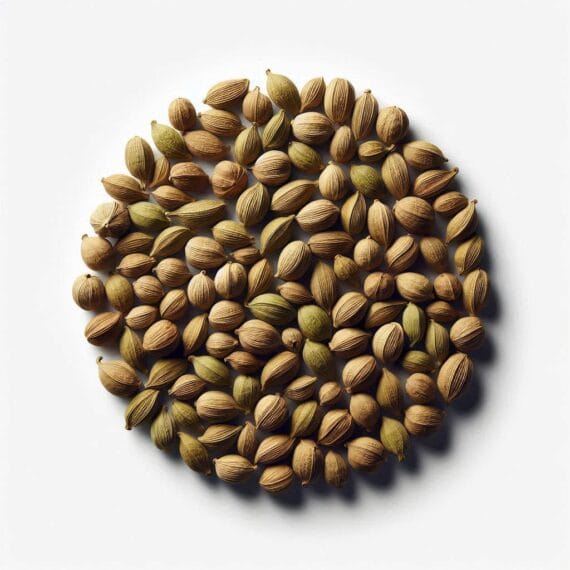 Elaichi | Cardamom | الائچی