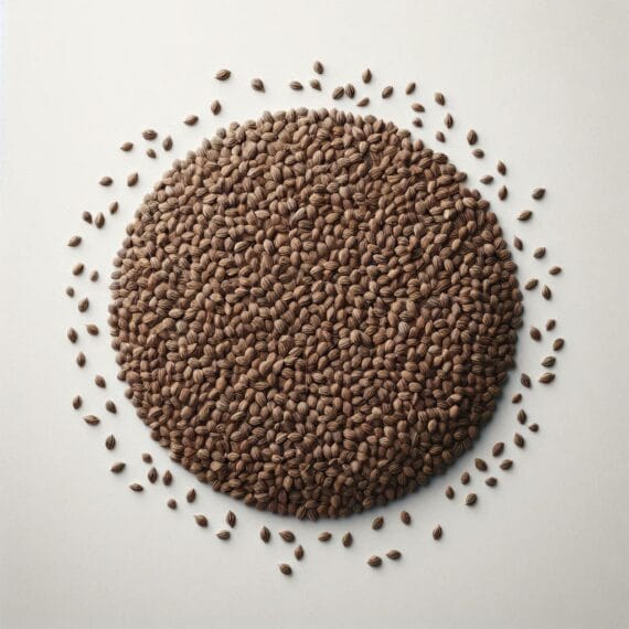 Ajwain | Carrom Seed | اجوائن