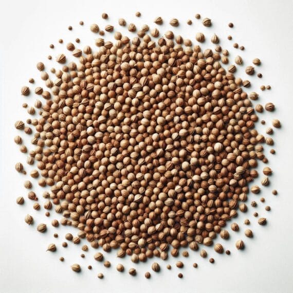 Dhania | Coriander | دھنیا
